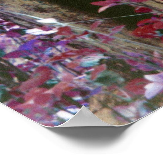 神秘的な木 ポスター (角)