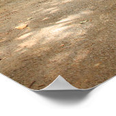 神秘的な森林道 ポスター (角)