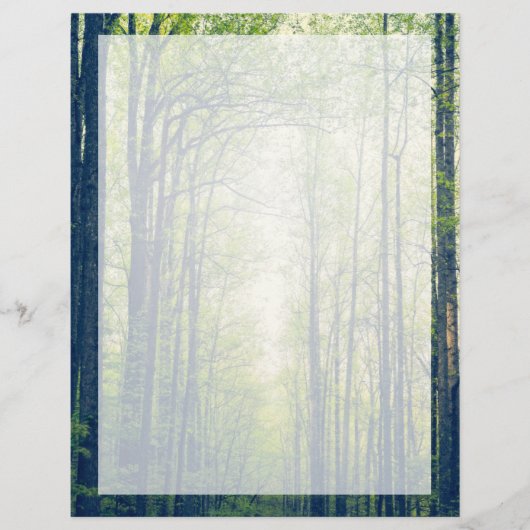 神秘的な森 チラシ (正面)