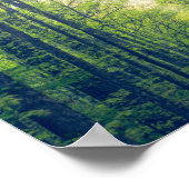 神秘的な森 ポスター (角)