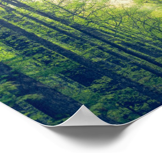 神秘的な森 ポスター (角)