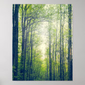 神秘的な森 ポスター (正面)