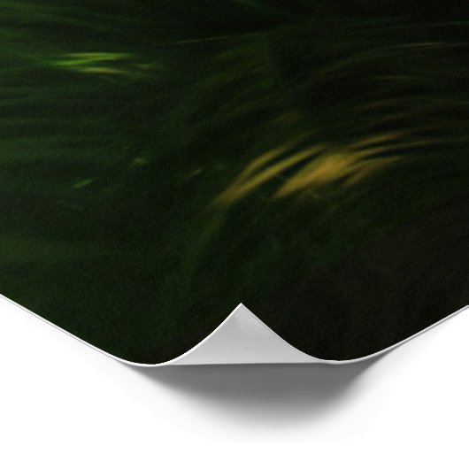 神秘的な森 ポスター (角)