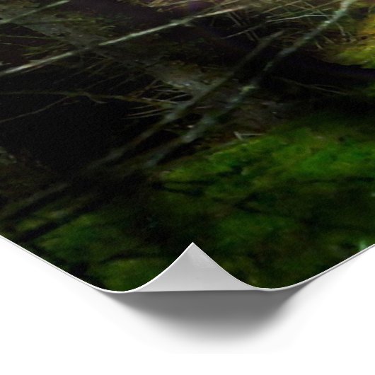 神秘的な森 ポスター (角)