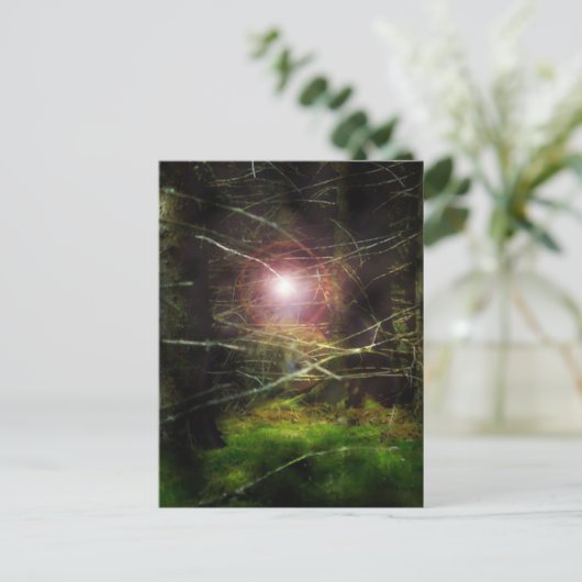 神秘的な森 ポストカード (スタンド正面)