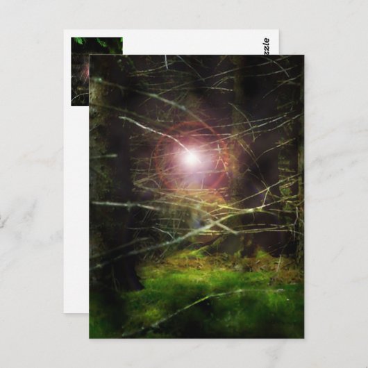 神秘的な森 ポストカード (正面/裏面)