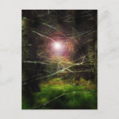 神秘的な森 ポストカード (正面)