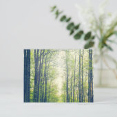 神秘的な森 ポストカード (スタンド正面)