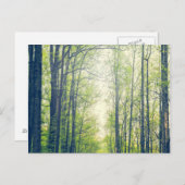 神秘的な森 ポストカード (正面/裏面)