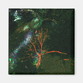 神秘的な森… マグネット (正面)