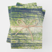 神秘的な森 ラッピングペーパーシート (インサイチュ)