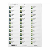 神秘的な森 ラベル (フルシート)