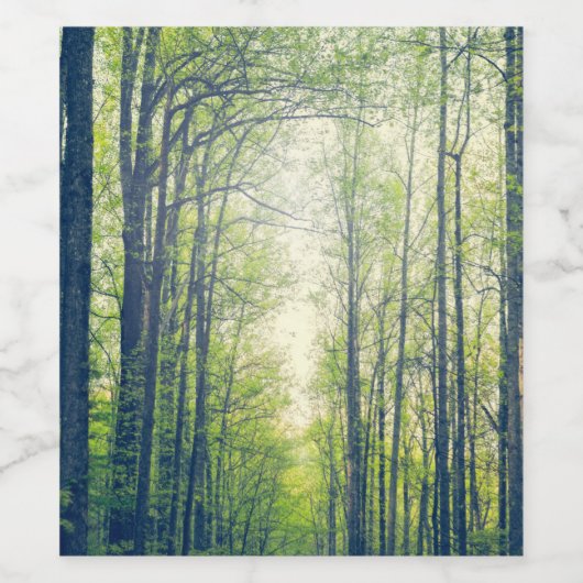 神秘的な森 ワインラベル (シングルラベル)