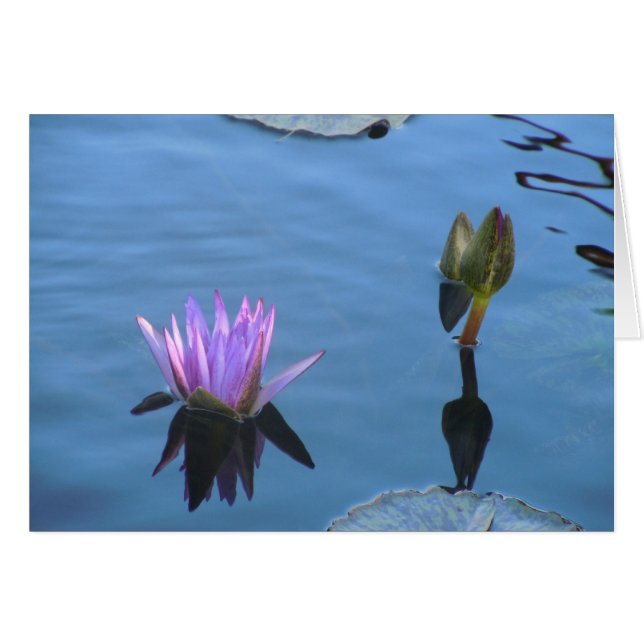 神秘的な水 (正面横)