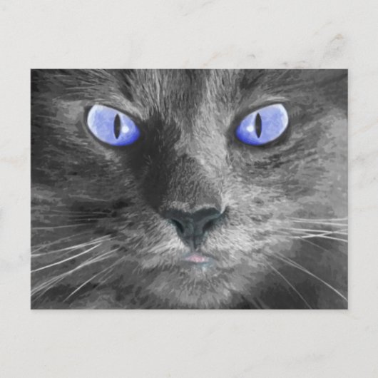 神秘的な猫はがき ポストカード (正面)