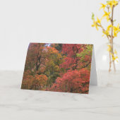 神秘的な秋(3)の挨拶状 カード (黄色い花)