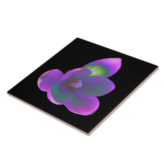 神秘的な美しいクロッカスフラワータイル タイル (側面)