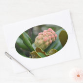 神秘的な自然:マグノリア・ポッド 楕円形シール (封筒)