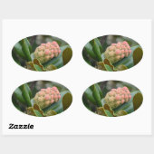 神秘的な自然:マグノリア・ポッド 楕円形シール (シート)