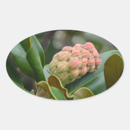 神秘的な自然：マグノリア・ポッド 楕円形シール