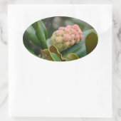 神秘的な自然:マグノリア・ポッド 楕円形シール (バッグ)