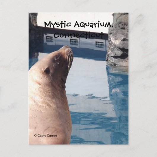 神秘的な郵便はがき ポストカード (正面)