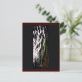 神秘的な馬のはがき ポストカード (スタンド正面)