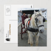 神秘的な馬のポストカード ポストカード (正面/裏面)