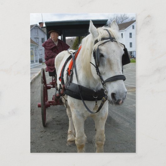 神秘的な馬のポストカード ポストカード (正面)