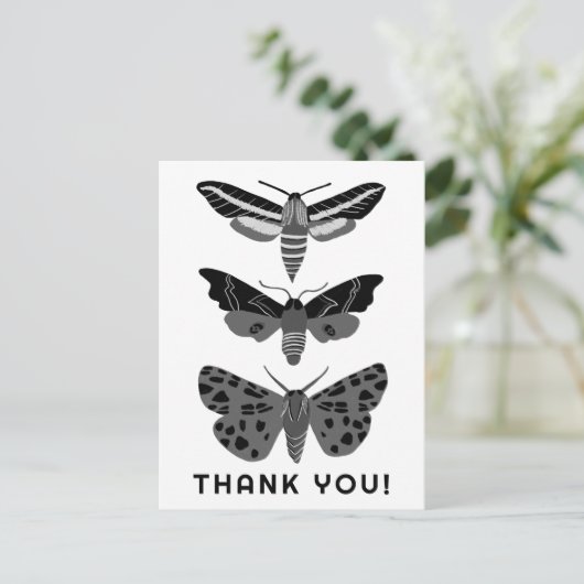 神秘的な魔法の蛾 ブラック＆ホワイト ありがとうございます ポストカード (スタンド正面)