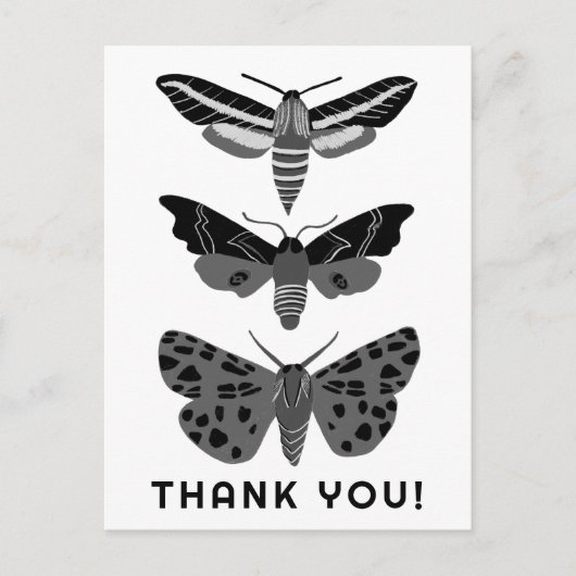 神秘的な魔法の蛾 ブラック＆ホワイト ありがとうございます ポストカード (正面)