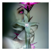 神秘的な ポスター (正面)