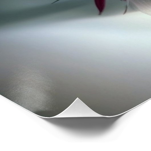 神秘的な ポスター (コーナー)