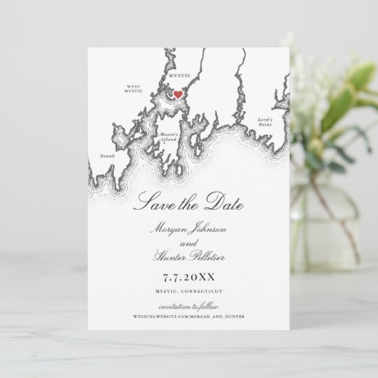 神秘的なCTマエレガントップ白黒結婚ズ セーブザデート (スタンド正面)