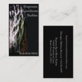 神秘的なFriesian 名刺 (正面/裏面)