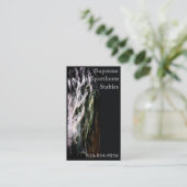 神秘的なFriesian 名刺 (スタンド正面)