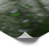 神秘的葉なポスター(3) ポスター (角)