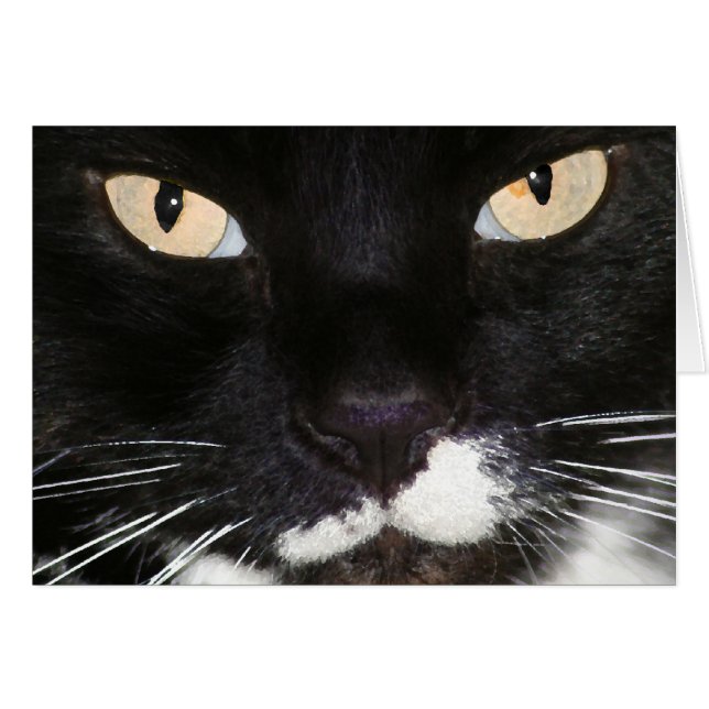 神秘的 (正面横)