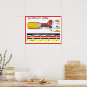 神経の解剖学2015 ポスター (キッチン)