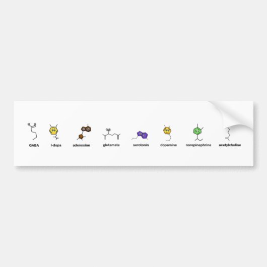 神経伝達物質パレード バンパーステッカー (正面)