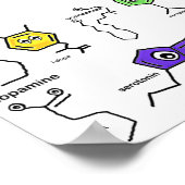 神経伝達物質 ポスター (角)