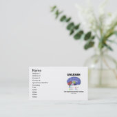 神経科学者をの内の自由にして下さい(頭脳の解剖学) 名刺 (スタンド正面)