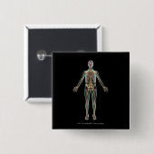 神経系のイラストレーション 缶バッジ (正面&裏面)