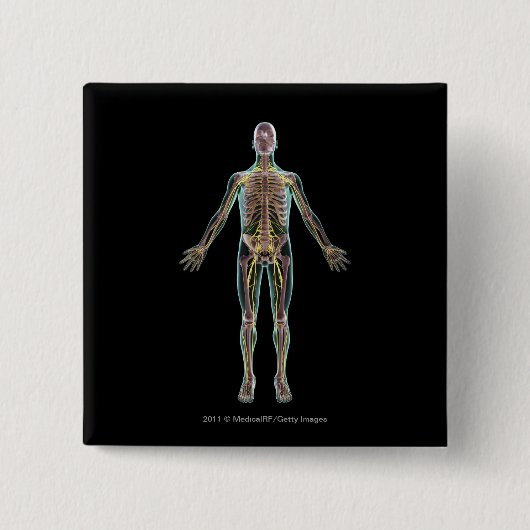 神経系のイラストレーション 缶バッジ (正面)