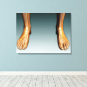 神経系を持つ人間の脚と足 キャンバスプリント (インサイチュ (ウッドフロア))
