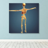 神経系を持つ人間の骨格のバックビュー キャンバスプリント (インサイチュ (ウッドフロア))