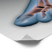 神経系を有するヒト足1 ポスター (角)