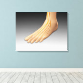 神経系を有するヒト足2 キャンバスプリント (インサイチュ (ウッドフロア))