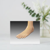 神経系を有するヒト足2 ポストカード (スタンド正面)