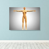 神経系を有する女性体の解剖学 キャンバスプリント (インサイチュ (ウッドフロア))